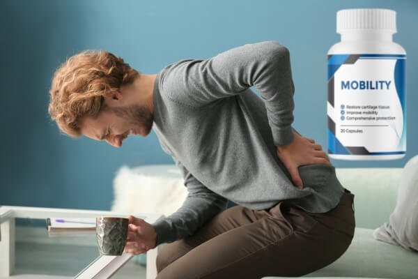 Arahan Penggunaan Mobility