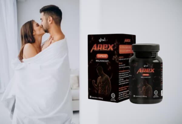 Cara Menggunakan Arahan Arex