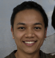 Nur Aisha Zainal